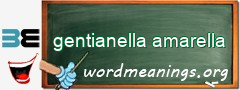 WordMeaning blackboard for gentianella amarella